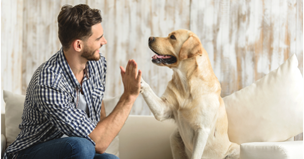 acas early conciliation advice from employment law friend acas early conciliation advice from employment law friend