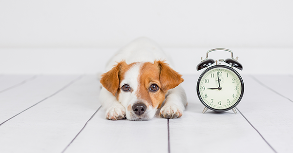Employment Tribunal Time Limits from Employment Law Friend Employment Tribunal Time Limits from Employment Law Friend