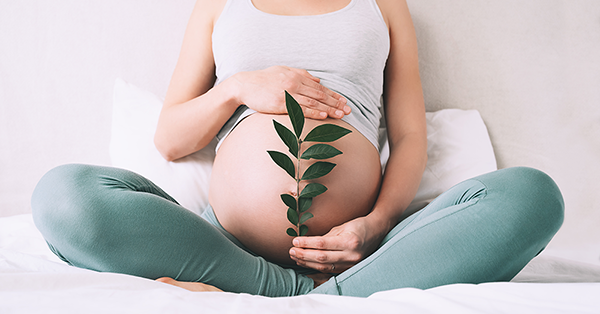 A Case Study on Pregnancy Discrimination at Work, from Employment Law Friend A Case Study on Pregnancy Discrimination at Work, from Employment Law Friend
