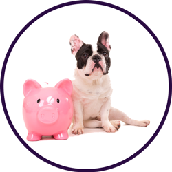 Cheap Employment Law Advice with Employment Law Friend