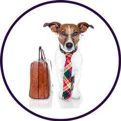 Employment Solicitor Dog with brief case at Employment Law Friend