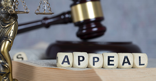 Employment Tribunal Appeal Employment Law Friend