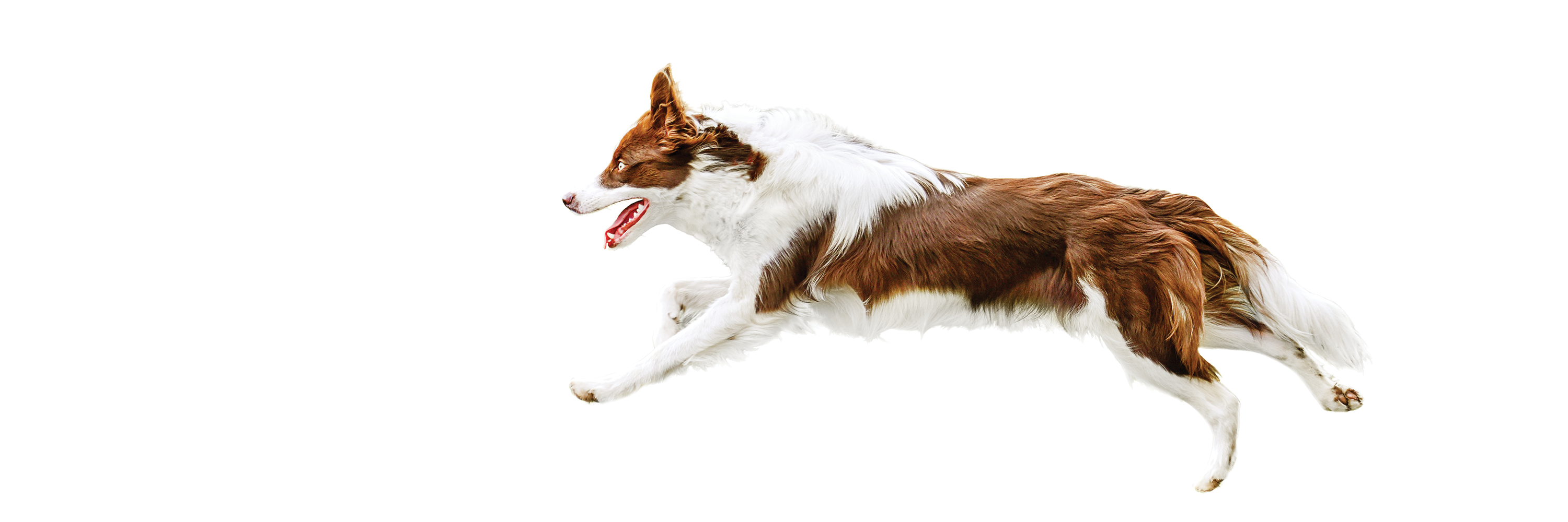 Constructive Dismissal Employment Law Friend